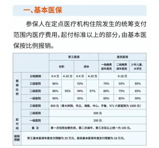 农保报销