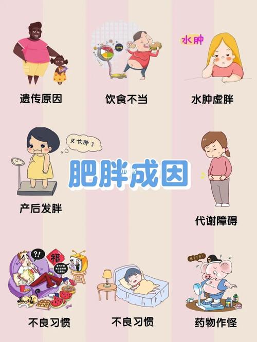 肥胖原因