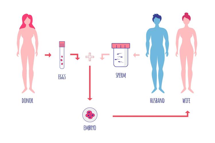 试管婴儿、低分子肝素、生殖医疗