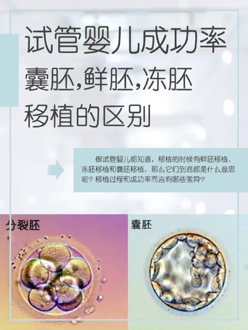 试管婴儿、冻胚、生殖医疗