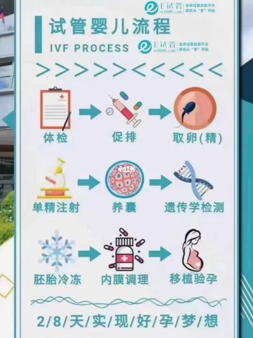 试管婴儿免费疗程