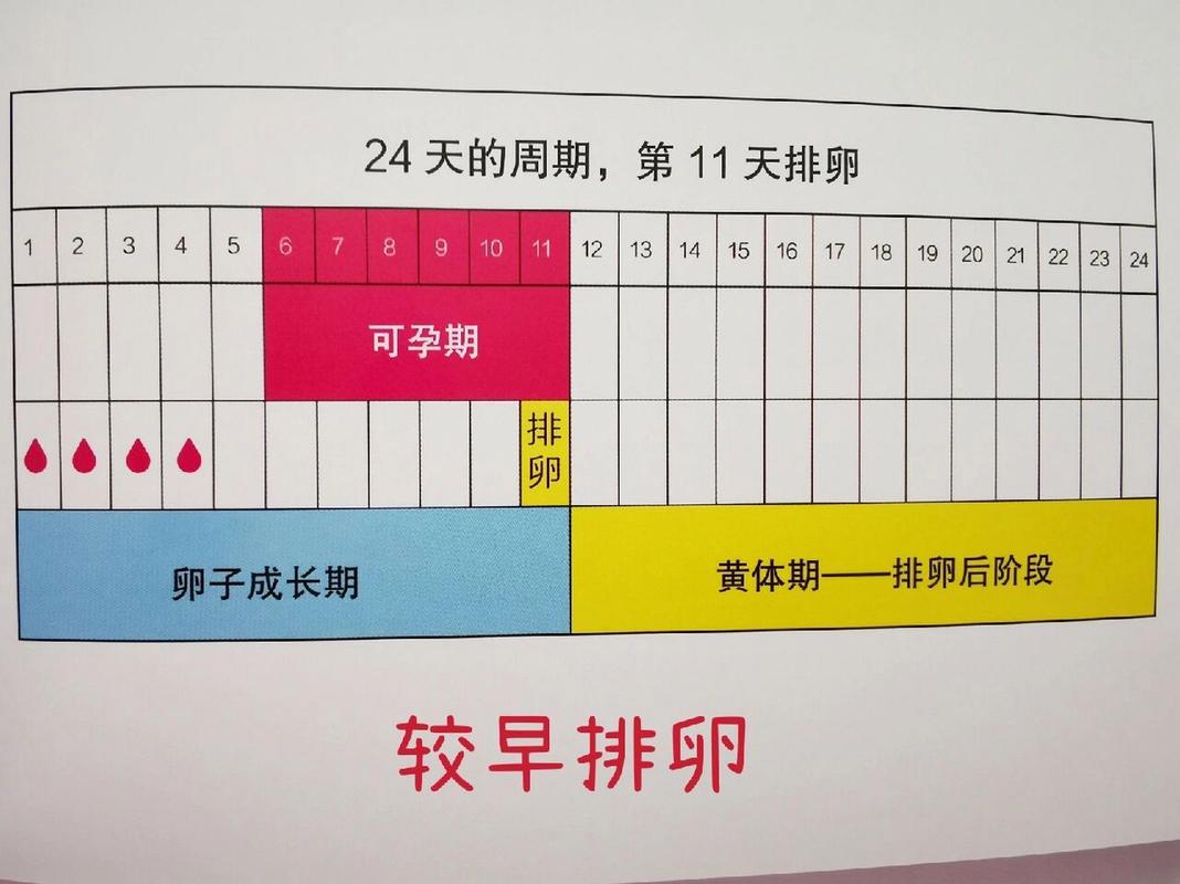 卵子状况
