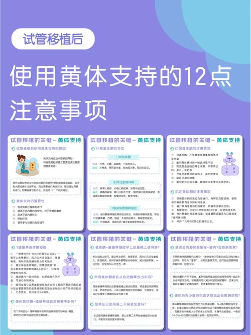  黄体支持