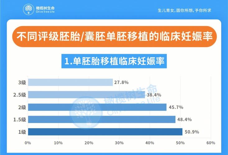  移植后妊娠率