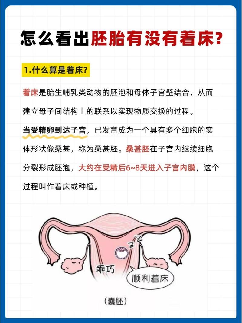 试管婴儿成功迹象