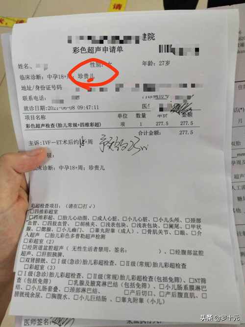 试管婴儿手续