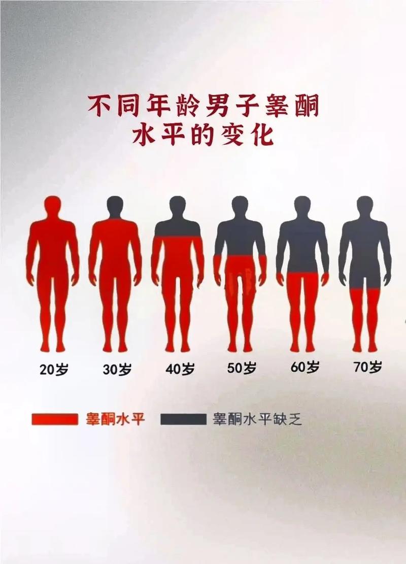 睾酮水平高