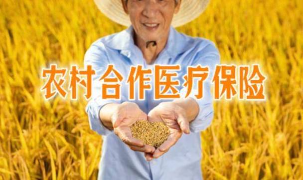 农村医保