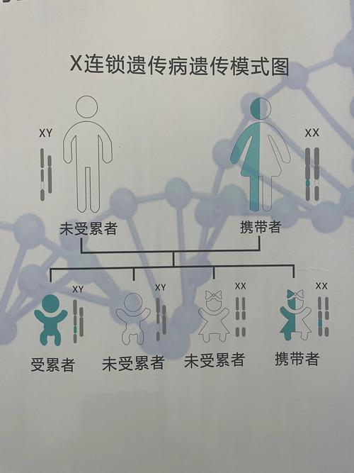 遗传差异