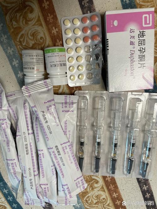 试管婴儿移植前