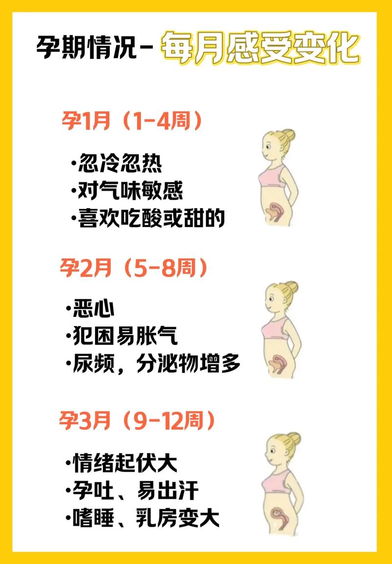 孕妇状况