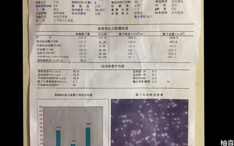 供卵供精检查