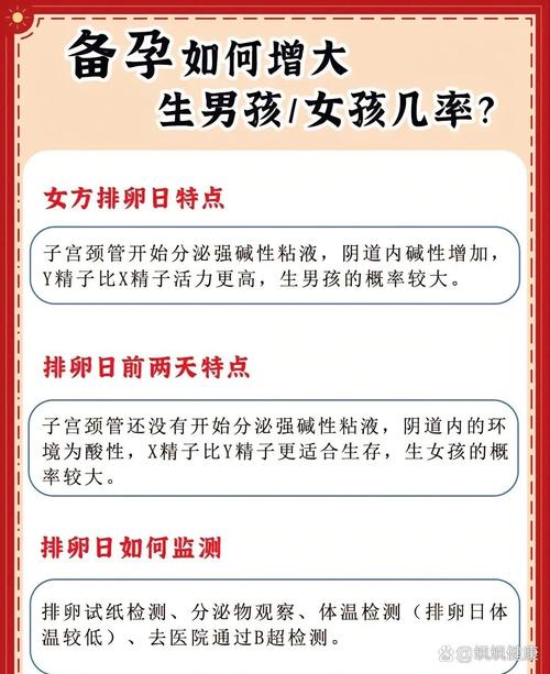生儿子概率