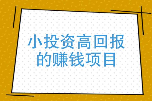  投资回报