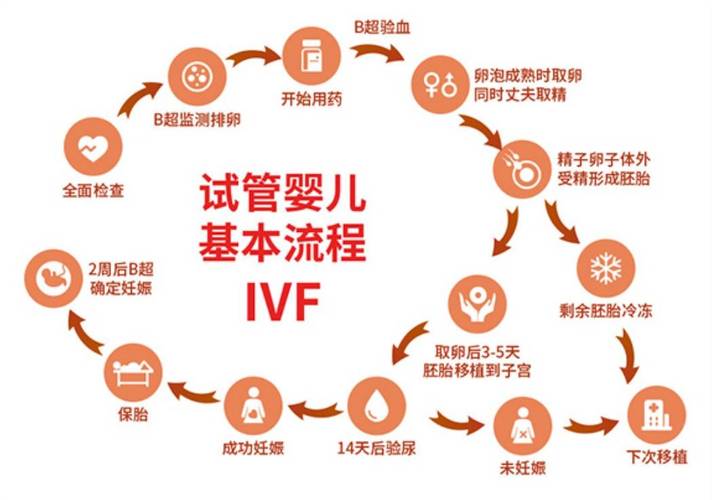 试管婴儿、生殖医疗、移植后护理