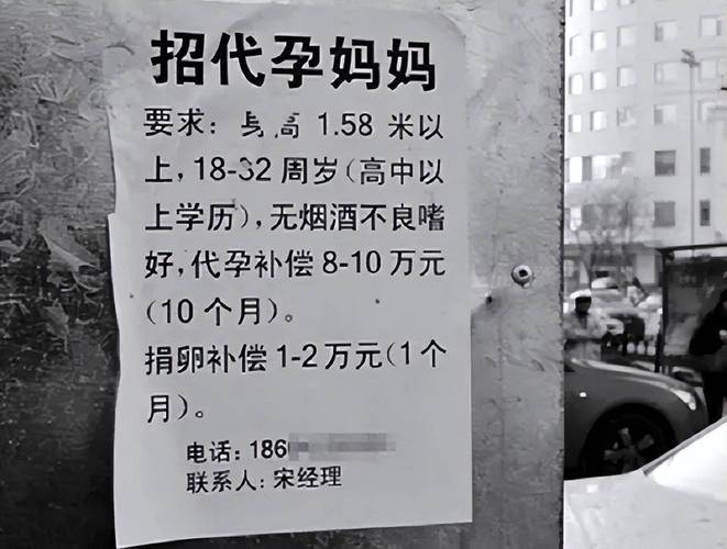  代孕服务