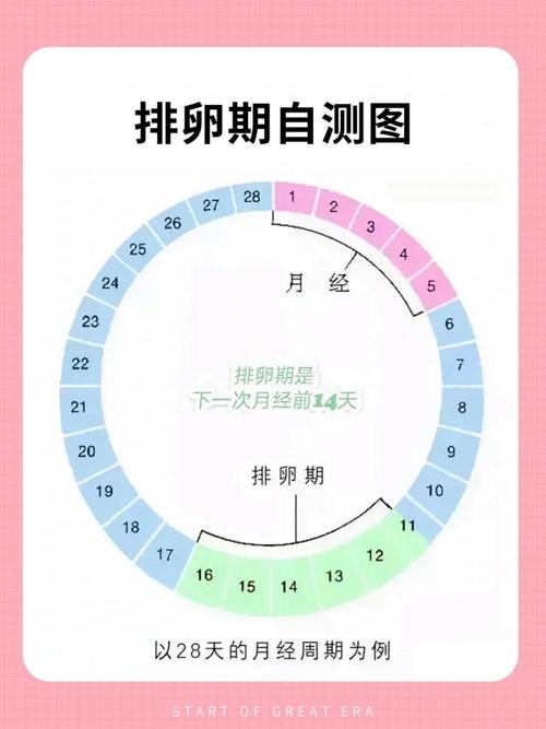 取卵时间