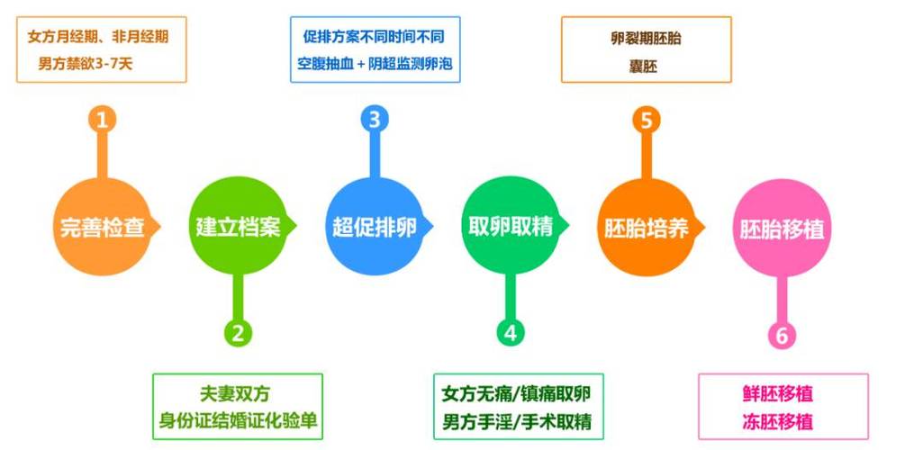  健康监护</h2>
<h3>描述：探讨试管婴儿从诞生到成年的成长过程，以及他们在不同阶段面临的挑战和成就。</h3>
