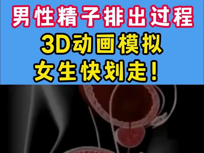 男性排精