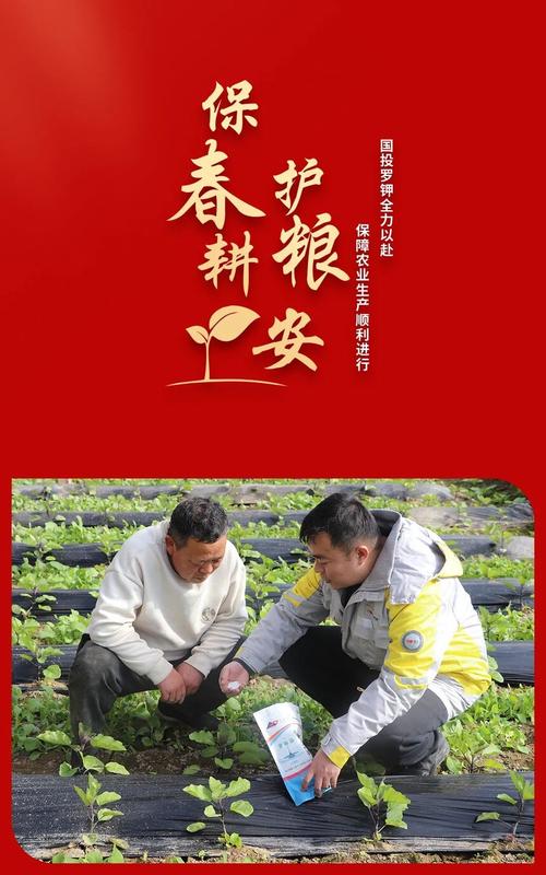 顺利进行