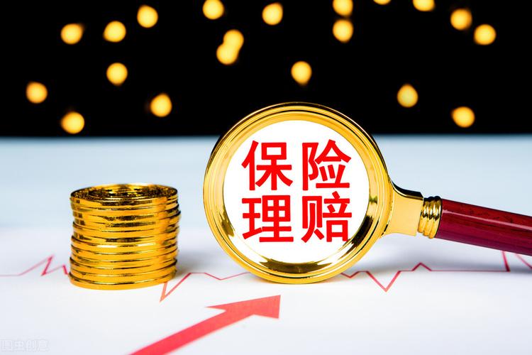  保险理赔