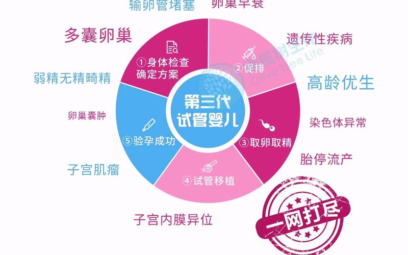 第三代试管婴儿技术