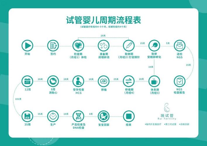 试管婴儿周期管理