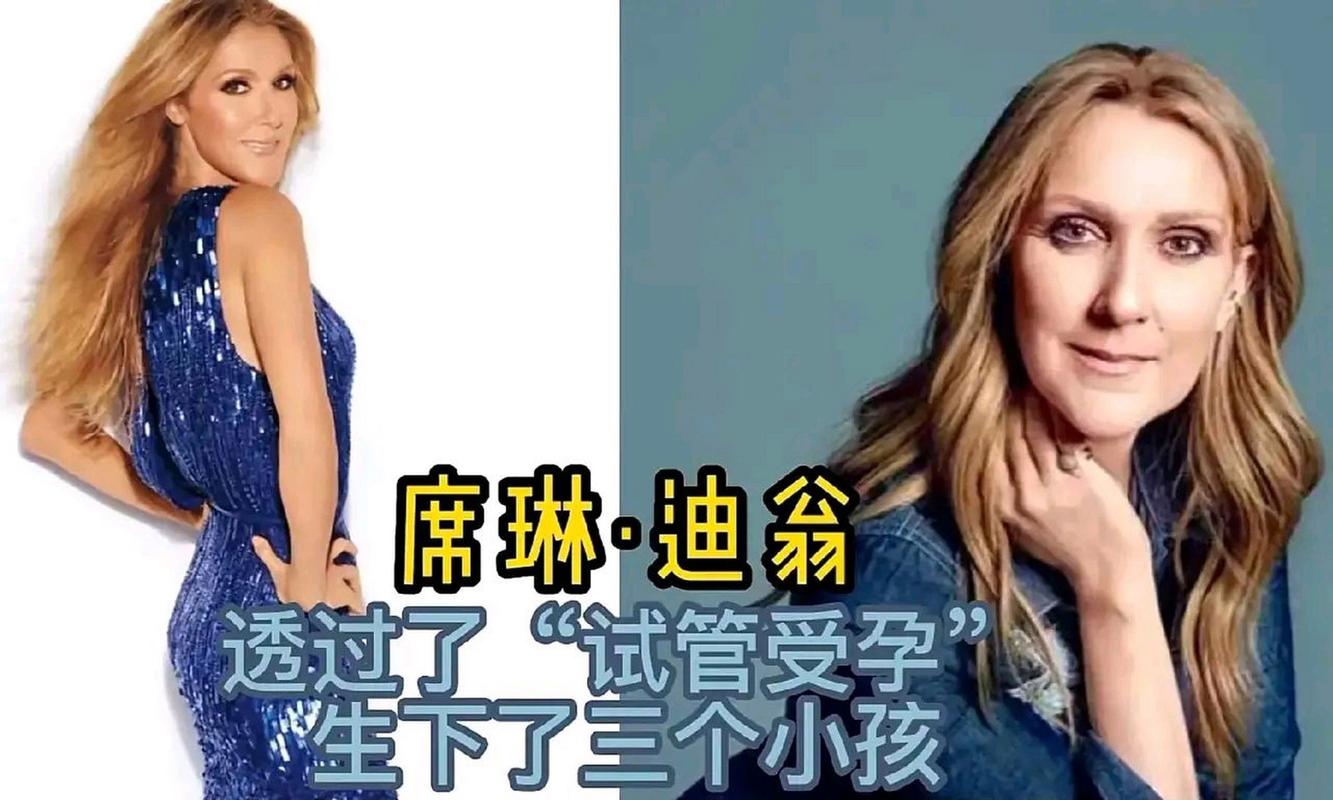 明星试管婴儿地点