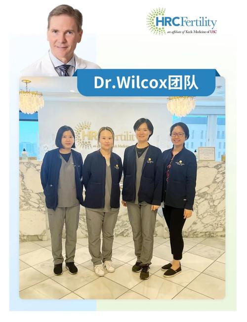 试管婴儿专家团队