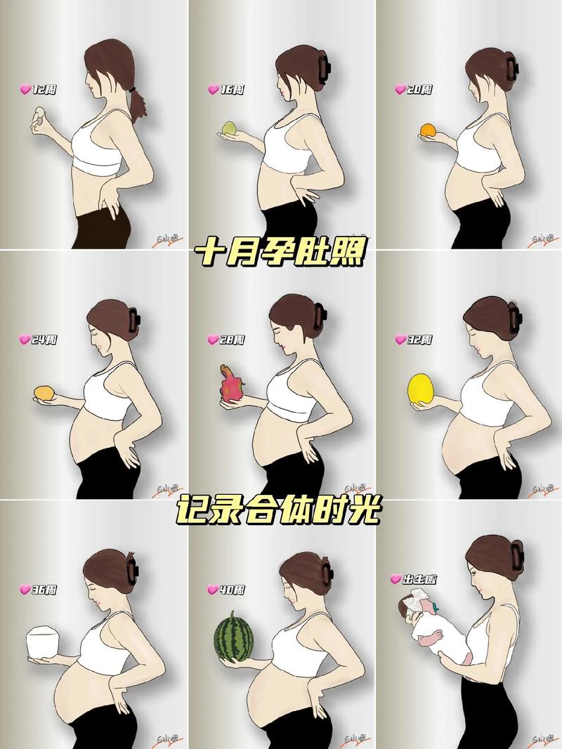 孕妈肚子大小
