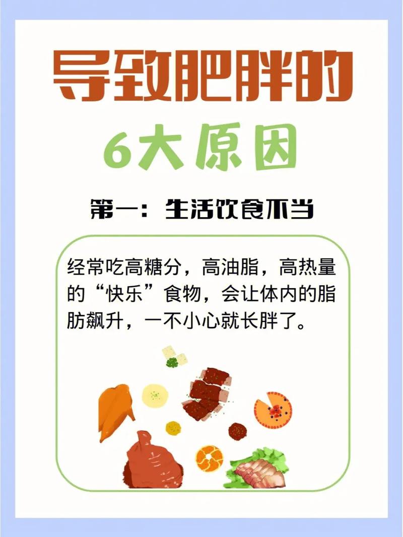  发胖原因