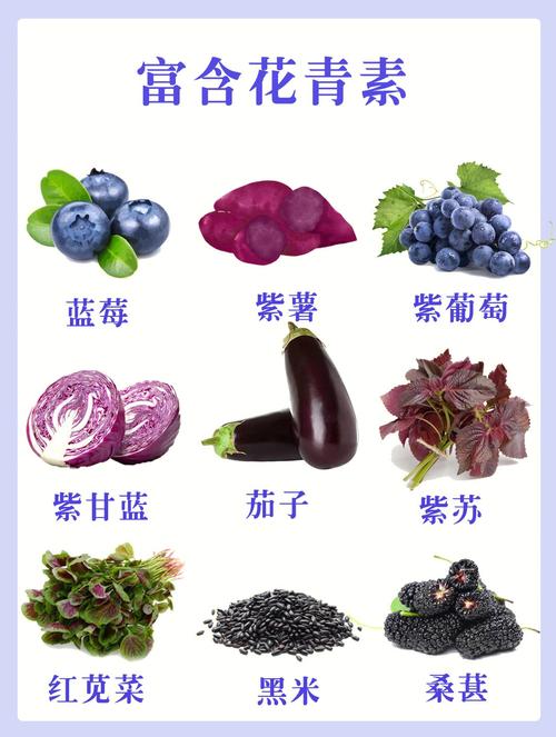 抗氧化食物