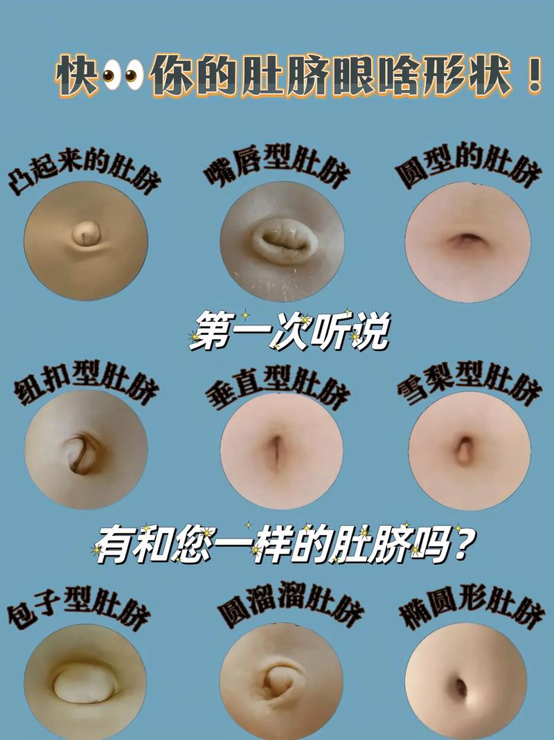 肚脐眼