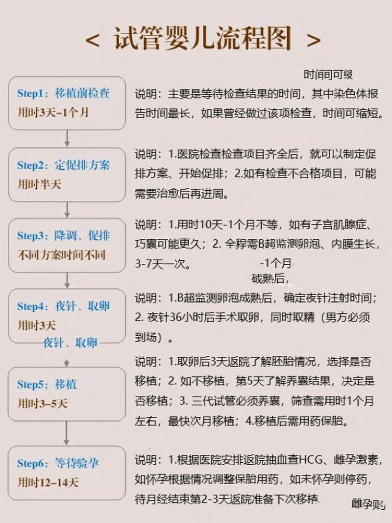 试管婴儿全过程