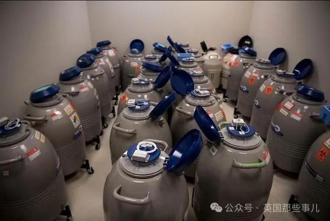 试管婴儿销毁