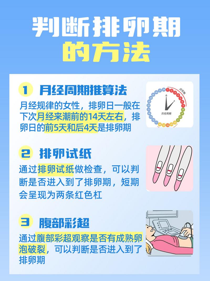  受孕几率