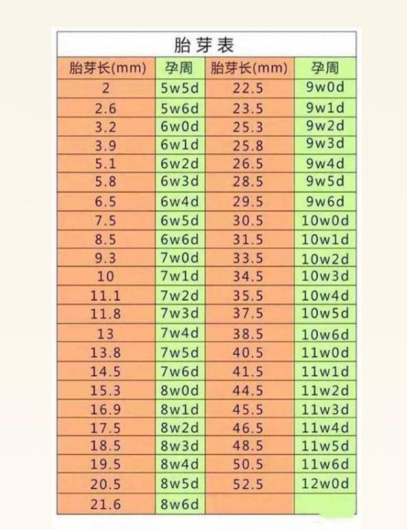 胎芽大小