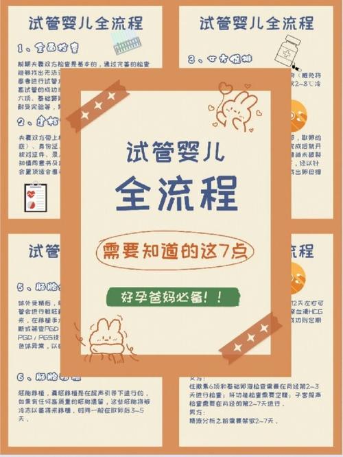 澳洲试管婴儿，申请条件，流程，成功率，促排卵，胚胎移植