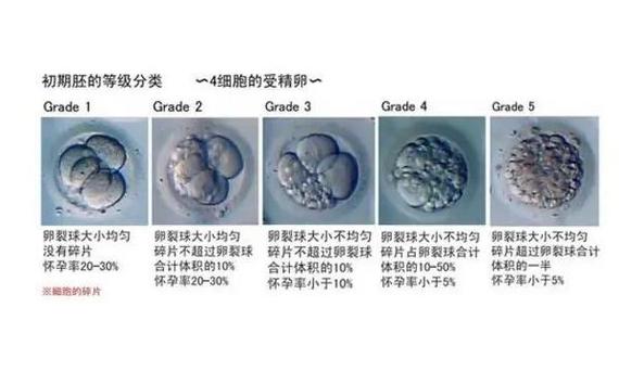咸阳试管婴儿