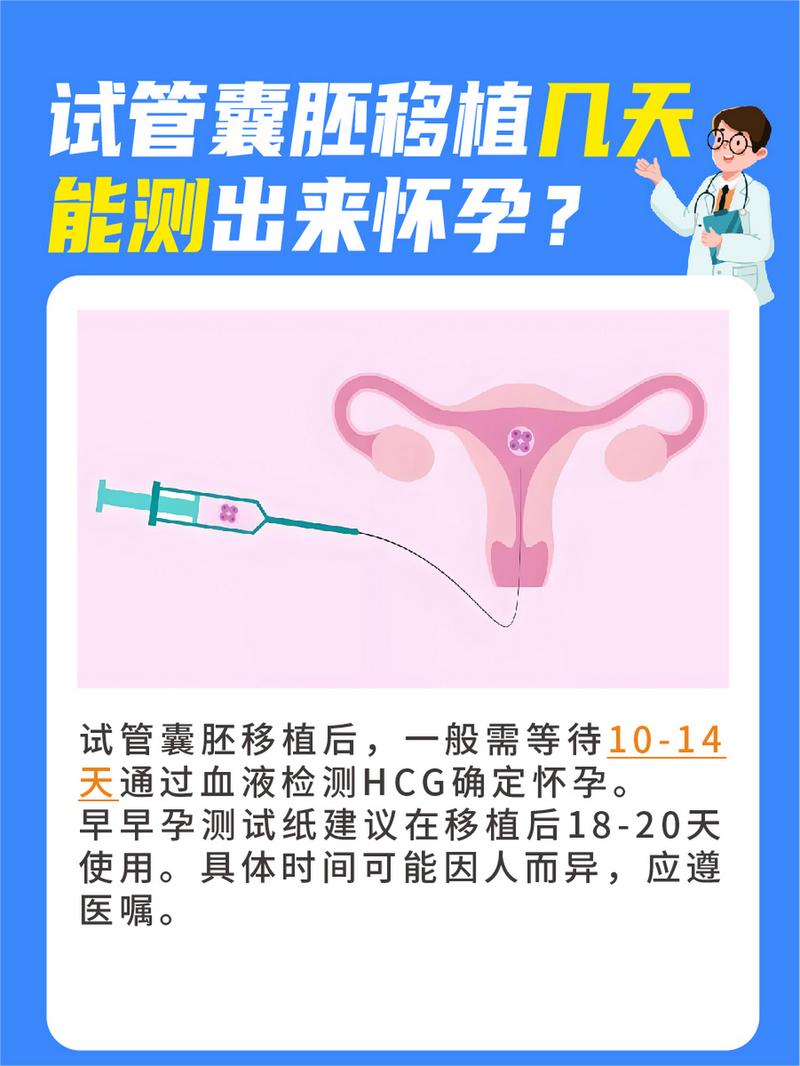 试管婴儿日子确定