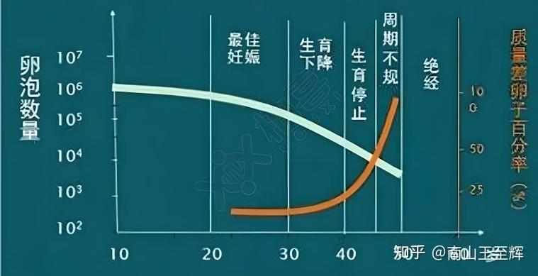 胚胎数量少