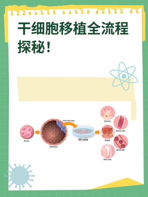 移植流程