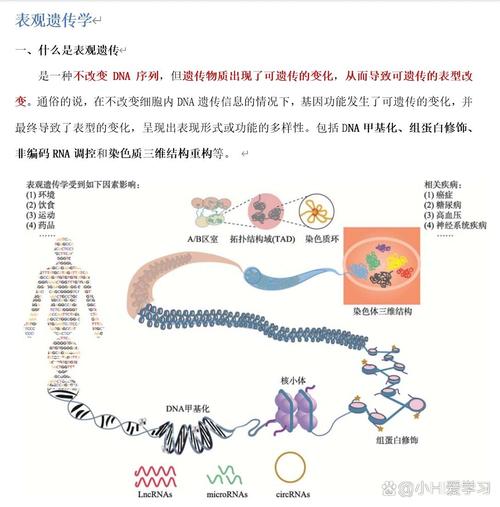  表观遗传学