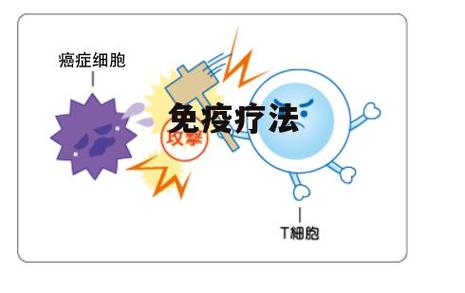 免疫疗法
