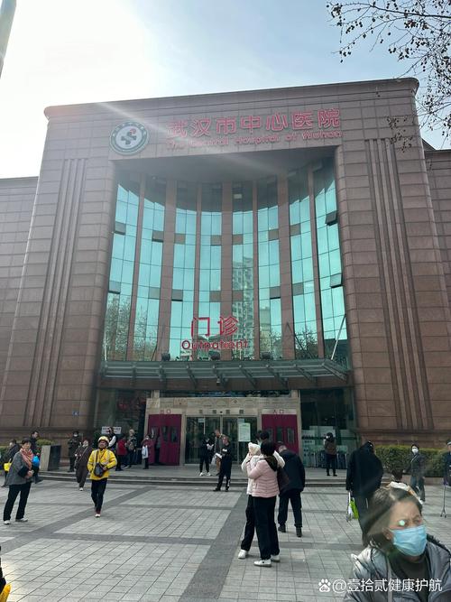 武汉公立医院