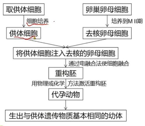  移植技术