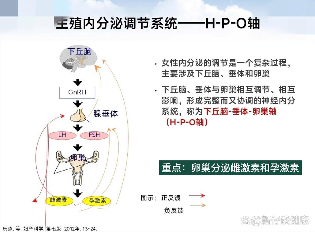  生殖机制