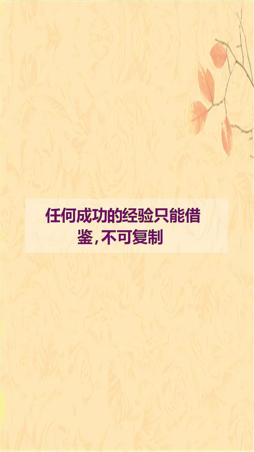 成功经验