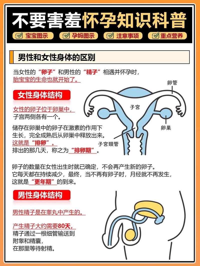 怀孕计算方法