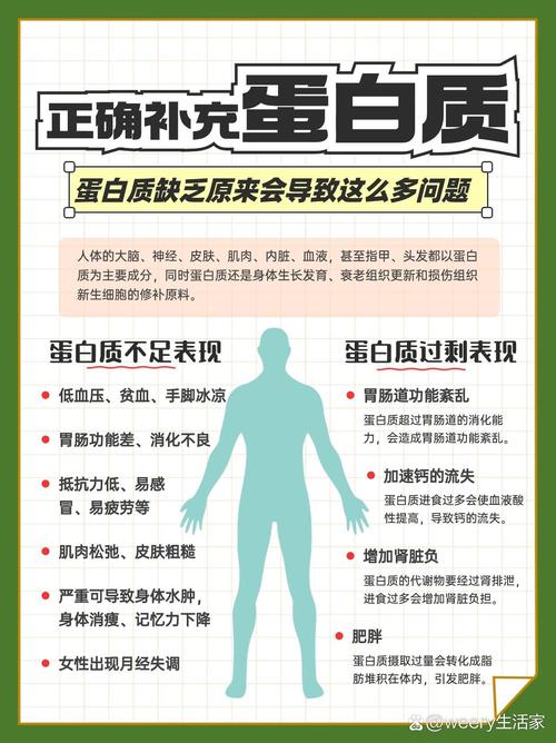 人体蛋白